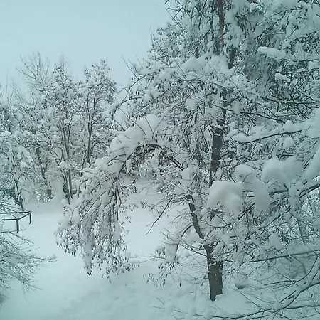 Il Mulino Che Fu La Filanda