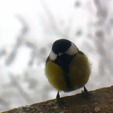 度假居 Il Mulino Che Fu La Filanda