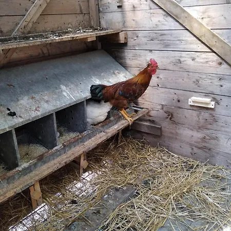 Σπίτι διακοπών Il Mulino Che Fu La Filanda Pennabilli