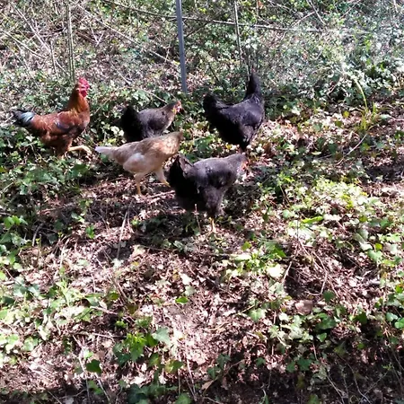 Σπίτι διακοπών Il Mulino Che Fu La Filanda *