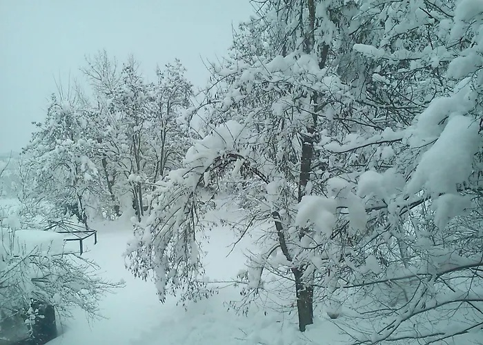 Il Mulino Che Fu La Filanda