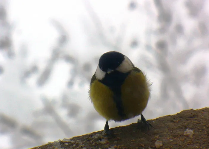 度假居 Il Mulino Che Fu La Filanda