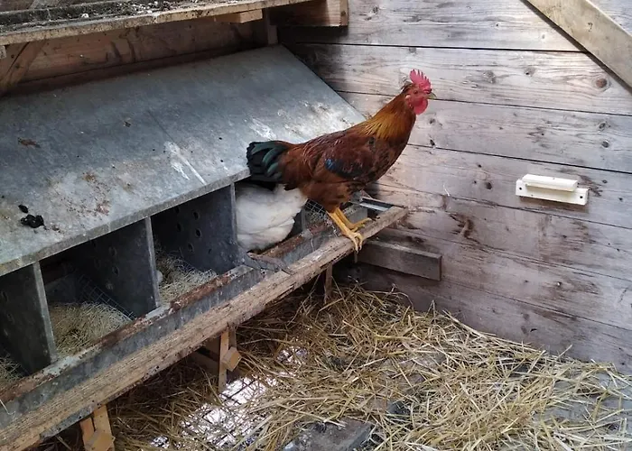 Tatil Evi Il Mulino Che Fu La Filanda Pennabilli