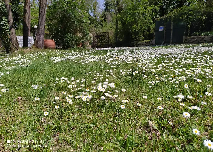 度假居 Il Mulino Che Fu La Filanda