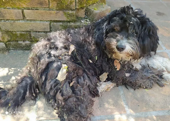 Tatil Evi Il Mulino Che Fu La Filanda Pennabilli